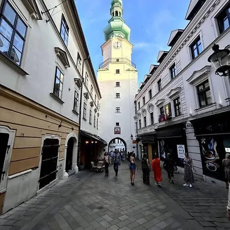 公寓 Luxurious And Royal In The Old Town